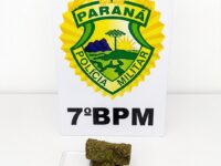Homem é preso com quase 50 gramas de maconha após tentativa de fuga em Goioerê