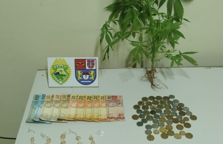 HOMEM É PRESO POR TRÁFICO DE DROGAS E CULTIVO DE MACONHA EM CIDADE GAÚCHA