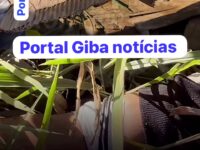 Jovem brasileira é encontrada morta com mãos e pés amarrados em estrada no Paraguai; polícia investiga execução