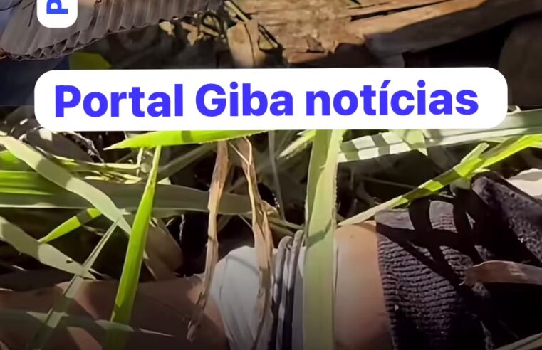 Jovem brasileira é encontrada morta com mãos e pés amarrados em estrada no Paraguai; polícia investiga execução