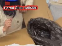 Vereadora recebe caixa com corpo de cachorro morto e caso é investigado pela polícia no Rio Grande do Sul