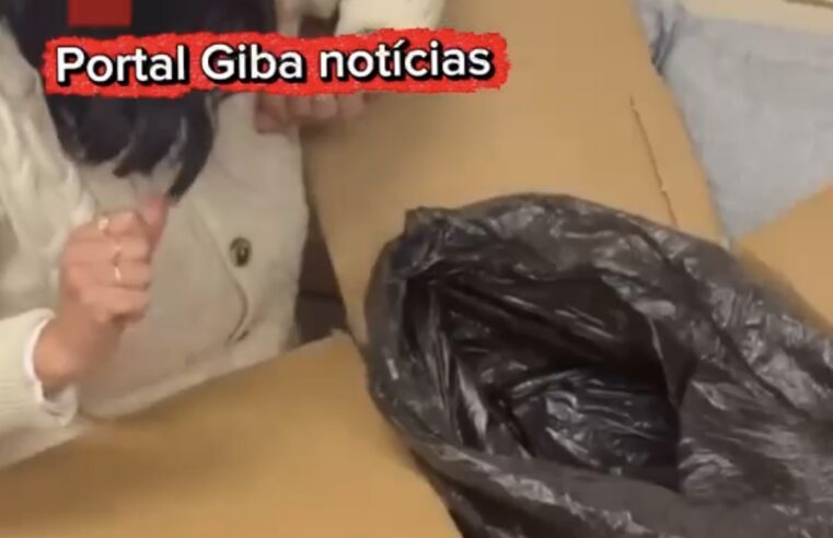 Vereadora recebe caixa com corpo de cachorro morto e caso é investigado pela polícia no Rio Grande do Sul
