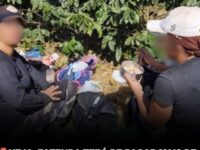 Mais de R$ 1 milhão será destinado a trabalhadores resgatados de condições análogas à escravidão em fazenda de café em Minas Gerais