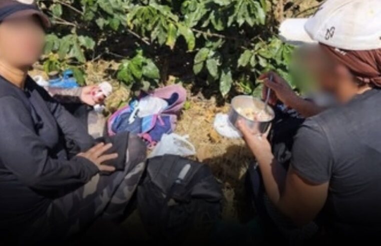 Mais de R$ 1 milhão será destinado a trabalhadores resgatados de condições análogas à escravidão em fazenda de café em Minas Gerais