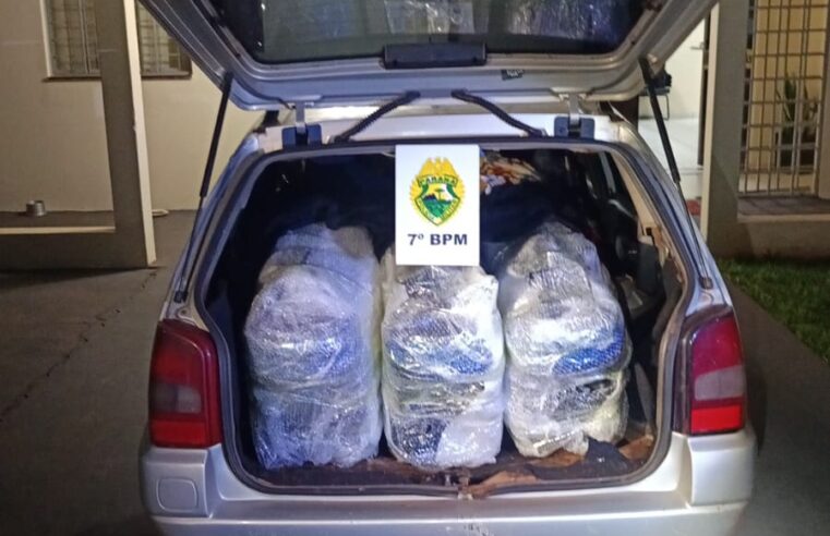 ROTAM apreende motocicletas elétricas estrangeiras sem documentação durante abordagem na PR-323