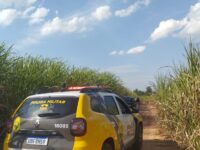 Mulher é encontrada amarrada e amordaçada após ser vítima de sequestro em canavial de Indianópolis