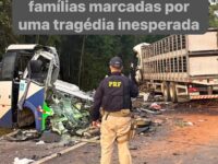 Tragédia na BR-373 deixa 23 mortos e cinco feridos após colisão entre micro-ônibus e carreta em Ipiranga