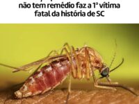Mulher de 77 anos morre em Imbituba e Santa Catarina registra primeira morte por febre do Nilo Ocidental