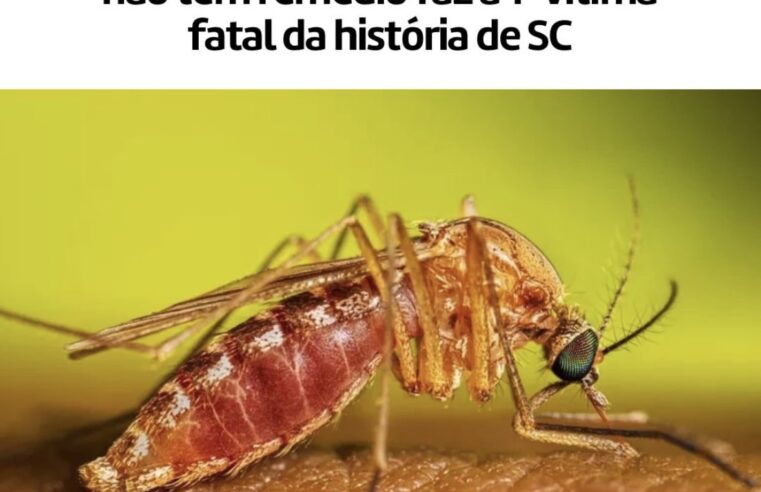 Mulher de 77 anos morre em Imbituba e Santa Catarina registra primeira morte por febre do Nilo Ocidental