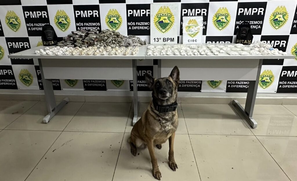Operação da PMPR apreende mais de 6,6 quilos de drogas no Parolin, em Curitiba Operação da PMPR apreende mais de 6,6 quilos de drogas no Parolin, em Curitiba