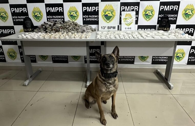 Operação da PMPR apreende mais de 6,6 quilos de drogas no Parolin, em Curitiba
