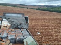 Forças de segurança apreendem mais de uma tonelada de maconha em caminhão na BR-277, em Matelândia
