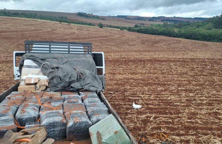 Forças de segurança apreendem mais de uma tonelada de maconha em caminhão na BR-277, em Matelândia