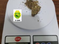 TERRA BOA: MULHER DE 20 ANOS É ENCAMINHADA À POLÍCIA APÓS APREENSÃO DE MACONHA