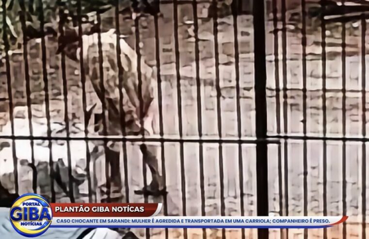 APÓS SUPOSTAS AGRESSÕES, HOMEM ACHA QUE COMPANHEIRA ESTÁ MORTA, COLOCA-A EM SACO COM CAL E A TRANSPORTA EM CARRIOLA; CÂMERAS REGISTRAM TUDO!