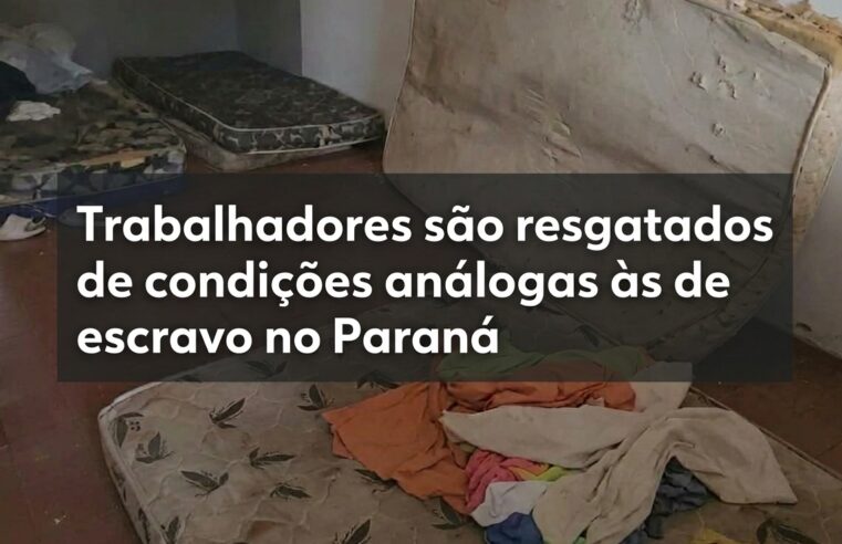 Trabalhadores resgatados de condições análogas à escravidão no Paraná sobreviviam com farinha, água e sal