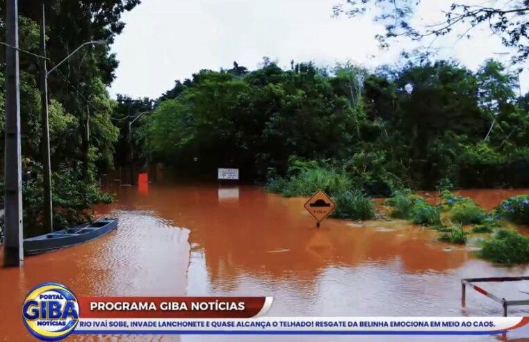 RIO IVAÍ SOBE, INVADE LANCHONETE E MOBILIZA RESGATE DE BELINHA