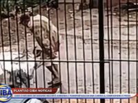 SARANDI: MULHER É AGREDIDA; TEMPORAIS AMEAÇAM REGIÕES DO PR
