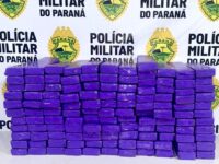 PM apreende mais de 113 quilos de maconha escondidos em área de mata em Londrina