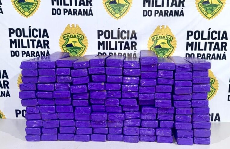 PM apreende mais de 113 quilos de maconha escondidos em área de mata em Londrina